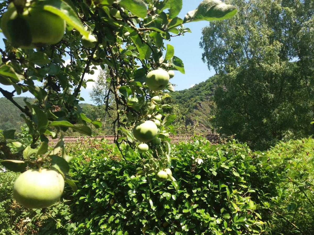 Baederleiblick *